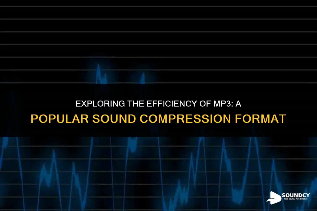 is a popular format for compressing a sound sequencew
