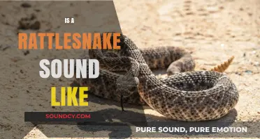 What Does a Rattlesnake Sound Like? Unveiling the Iconic Rattle