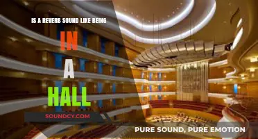 Echoes of Space: Does Reverb Really Mimic a Hall?