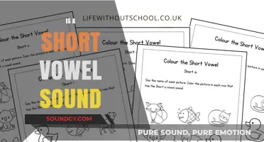 Understanding Short Vowel Sounds: A Comprehensive Guide to Pronunciation and Usage