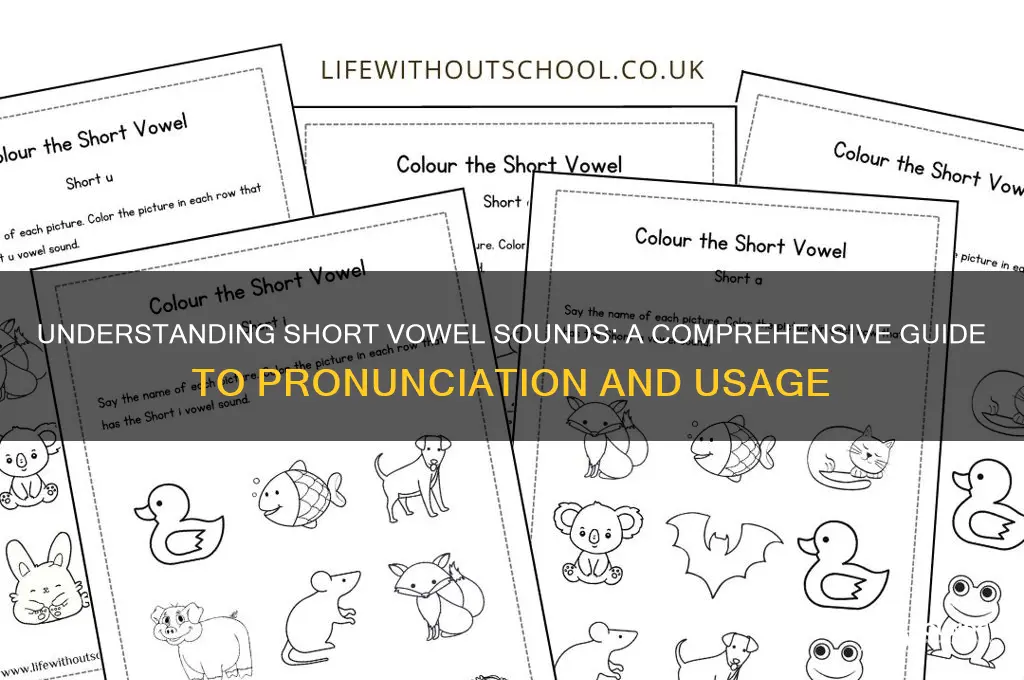 is a short vowel sound