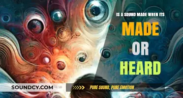 Echoes of Perception: When Sound Meets the Listener's Ear