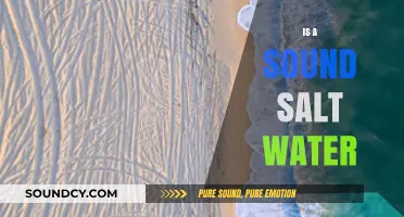 Is Sound Affected by Salt Water? Exploring Aquatic Acoustics
