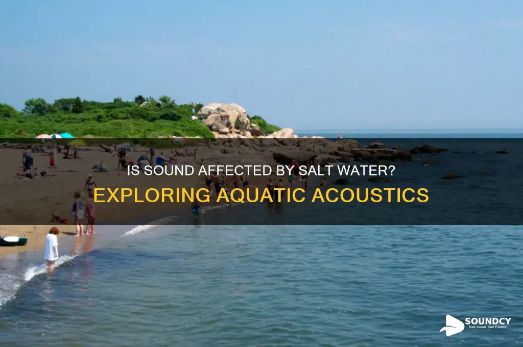 is a sound salt water