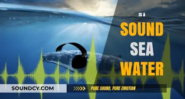 Is Seawater Naturally Noisy? Exploring Ocean Sounds and Science