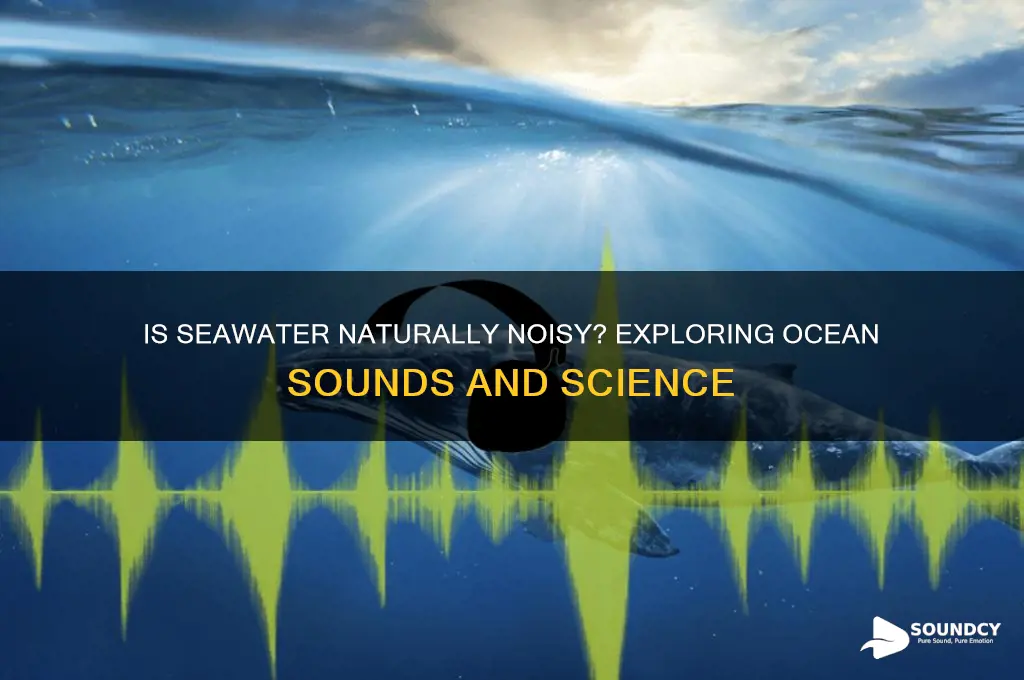 is a sound sea water