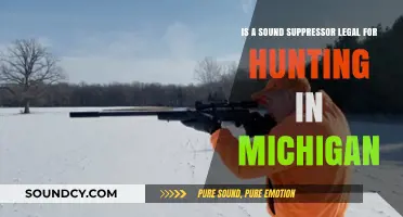 Michigan Hunting Laws: Sound Suppressors Permitted or Prohibited?