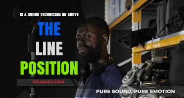 Exploring the Role of Sound Technicians in Film and TV Productions