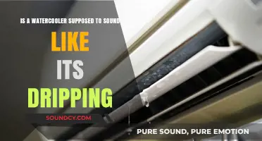 Decoding Water Cooler Noises: Dripping Sounds Explained