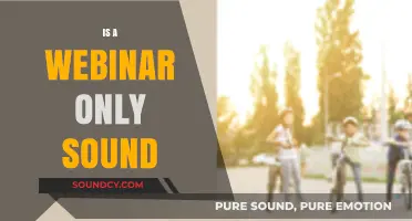 Webinars Beyond Audio: Exploring Visuals, Interaction, and Engagement Essentials