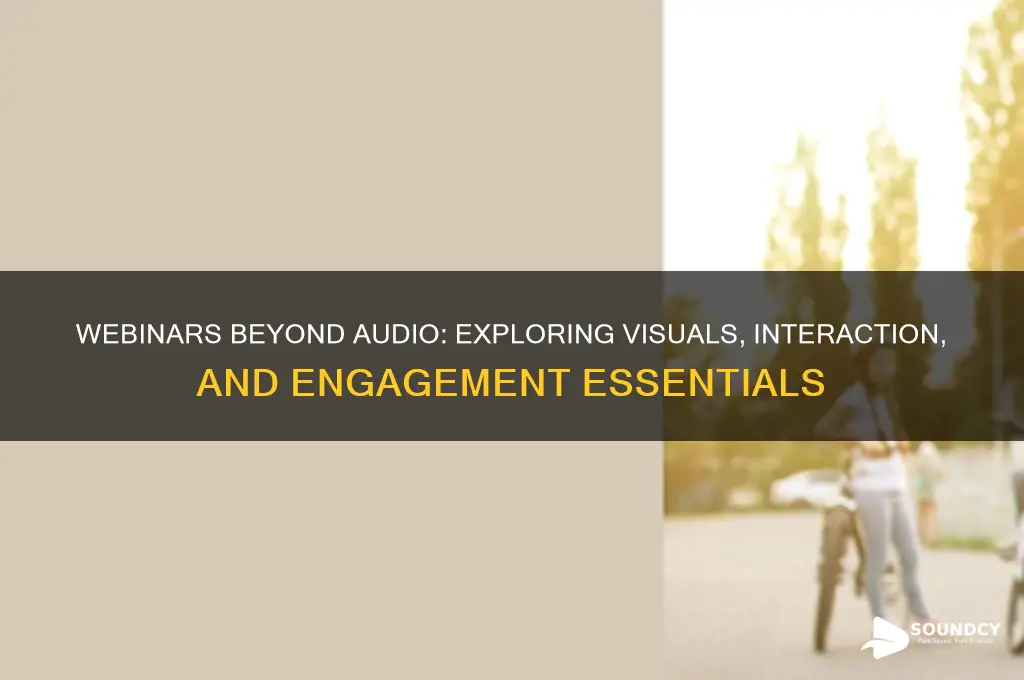 is a webinar only sound