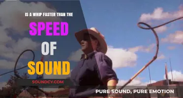Cracking the Code: Can a Whip Outpace the Speed of Sound?