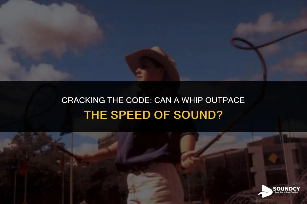 is a whip faster than the speed of sound