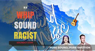 Is the Whip Sound Racist? Unpacking Cultural Sensitivity and Stereotypes
