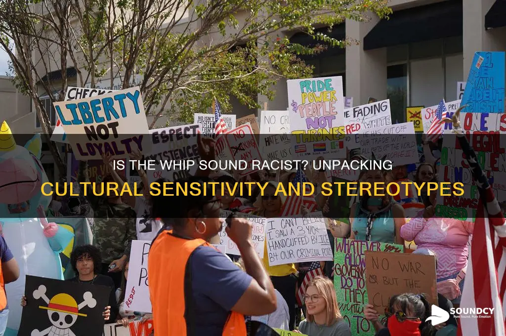 is a whip sound racist