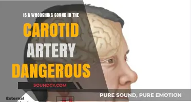 Whooshing Sound in Carotid Artery: Dangerous or Harmless?