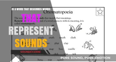 Exploring Onomatopoeia: Words That Paint Sonic Pictures