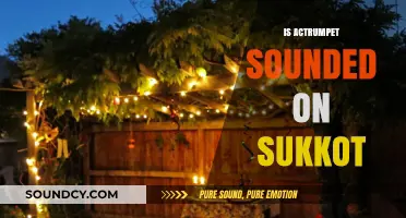 Is the Trumpet Sounded on Sukkot? Unraveling Jewish Traditions