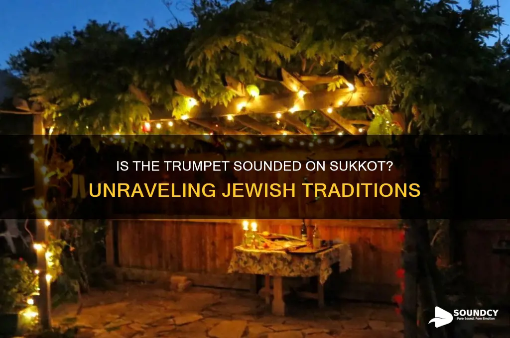 is actrumpet sounded on sukkot