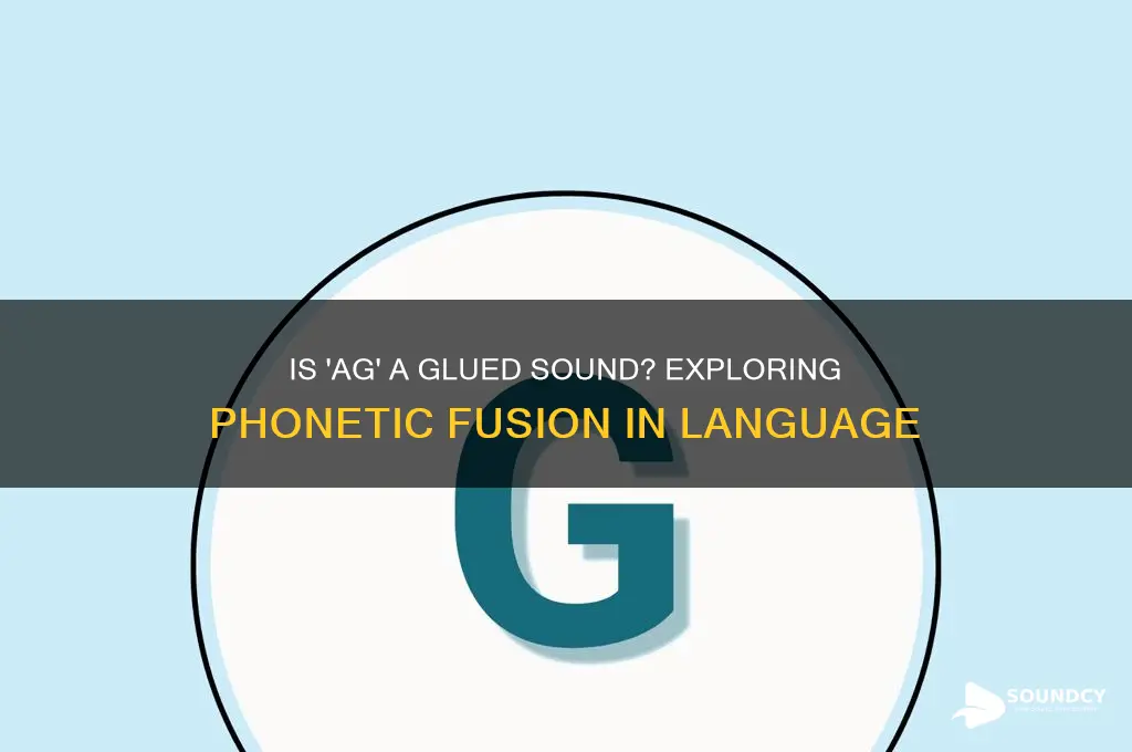 is ag a glued sound