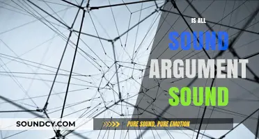 Are All Sound Arguments Truly Sound? Exploring Logical Consistency