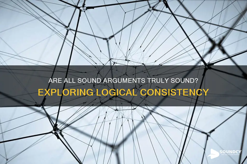 is all sound argument sound