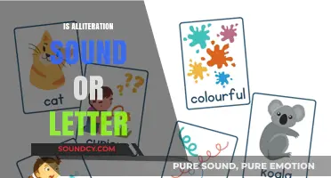 Alliteration Unveiled: Exploring Sound vs. Letter Patterns in Language