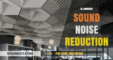 Ambient Sound vs. Noise Reduction: Enhancing Focus and Comfort in Any Space