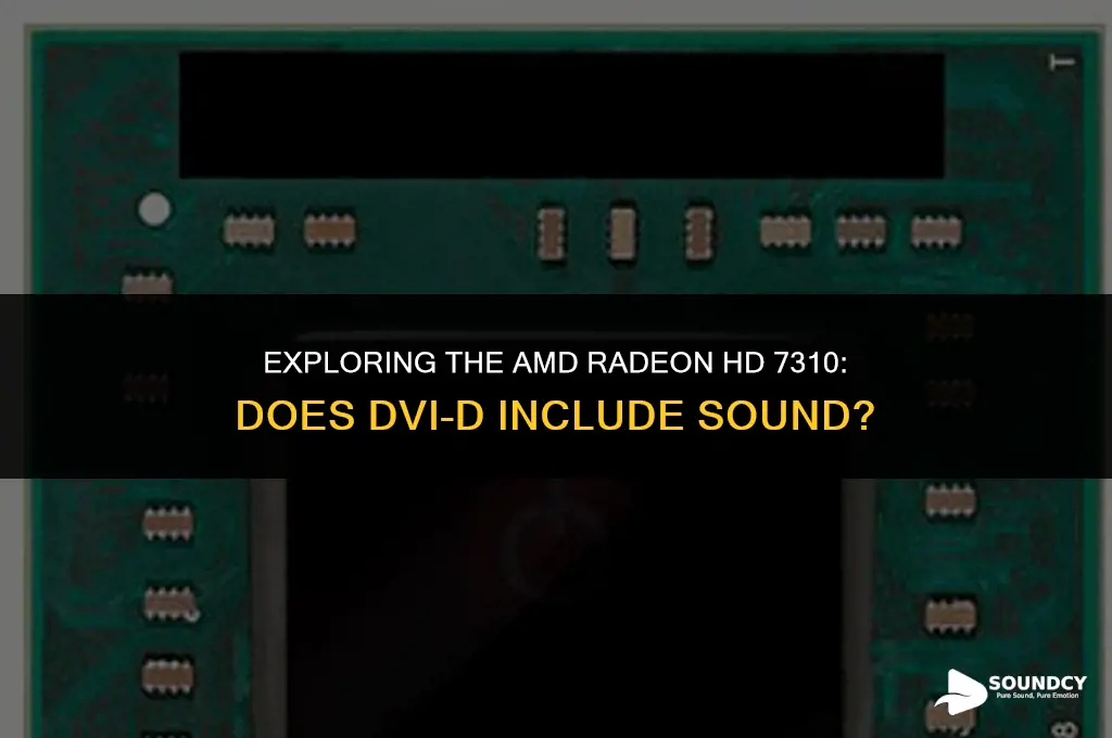 is amd radeon hd 7310 dvi d has sound