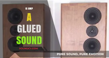 Is Amp a Glued Sound? Unraveling the Myth and Reality