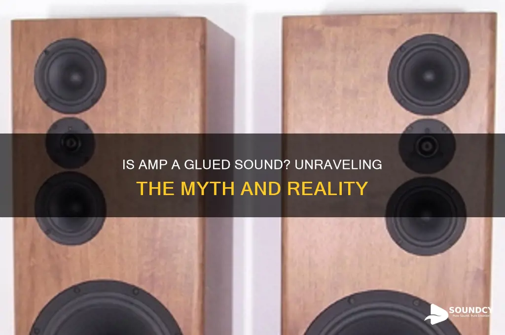 is amp a glued sound