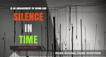 Harmony in Silence: The Art of Sound Arrangement Over Time