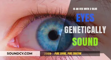 Genetic Soundness of OES with Two Blue Eyes: A Comprehensive Analysis
