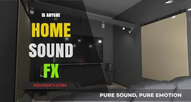 Is Anyone Home? Exploring the Eerie Sound Effects Behind Empty Spaces