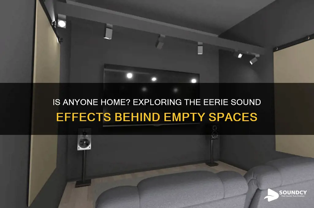 is anyone home sound fx
