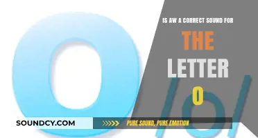 Exploring Phonetics: Is 'aw' the Right Sound for the Letter 'o'?