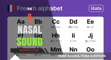 Is the Letter B a Nasal Sound? Exploring Phonetics and Articulation