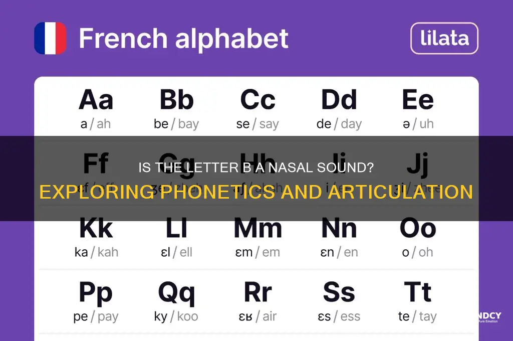 is b a nasal sound