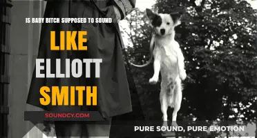 Exploring Sonic Similarities: Baby Bitch and Elliott Smith