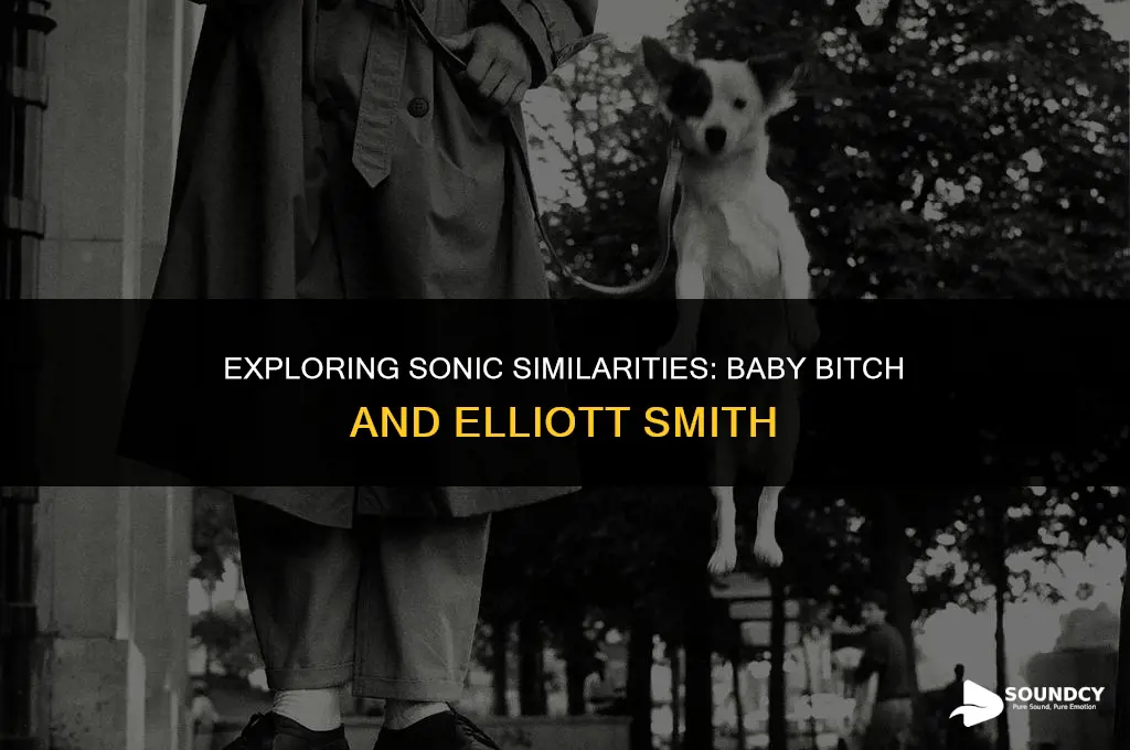 is baby bitch supposed to sound like elliott smith