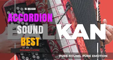 Exploring the Unique Charm of Balkan Accordion Sounds: Is It the Best?