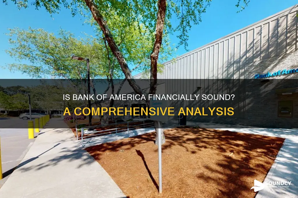 is bank of america sound