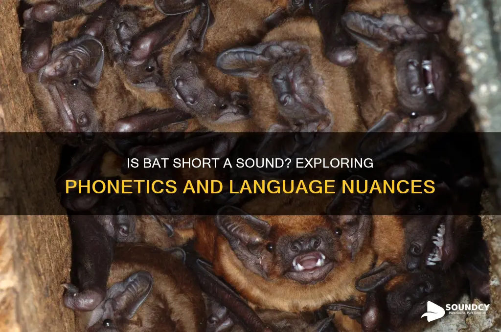 is bat short a sound