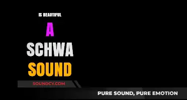 Is 'Beautiful' Pronounced with a Schwa Sound? Unraveling Phonetics