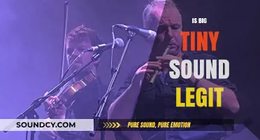 Is Big Tiny Sound Legit? Uncovering the Truth Behind the Hype