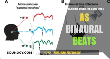 Exploring Auditory Phenomena: Bilateral Sound vs. Binaural Beats