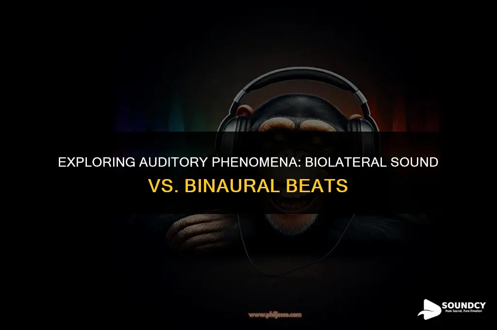is biolateral sound the same thing as binaural beats