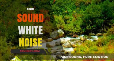 Bird Sounds as White Noise: Relaxation or Nature's Distraction?