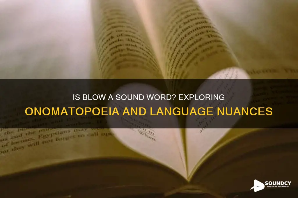 is blow a sound word