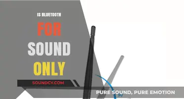Beyond Audio: Exploring Bluetooth's Versatility in Sound and Data Transfer